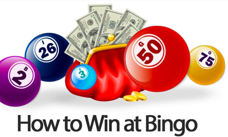 Online Bingo Success Tips